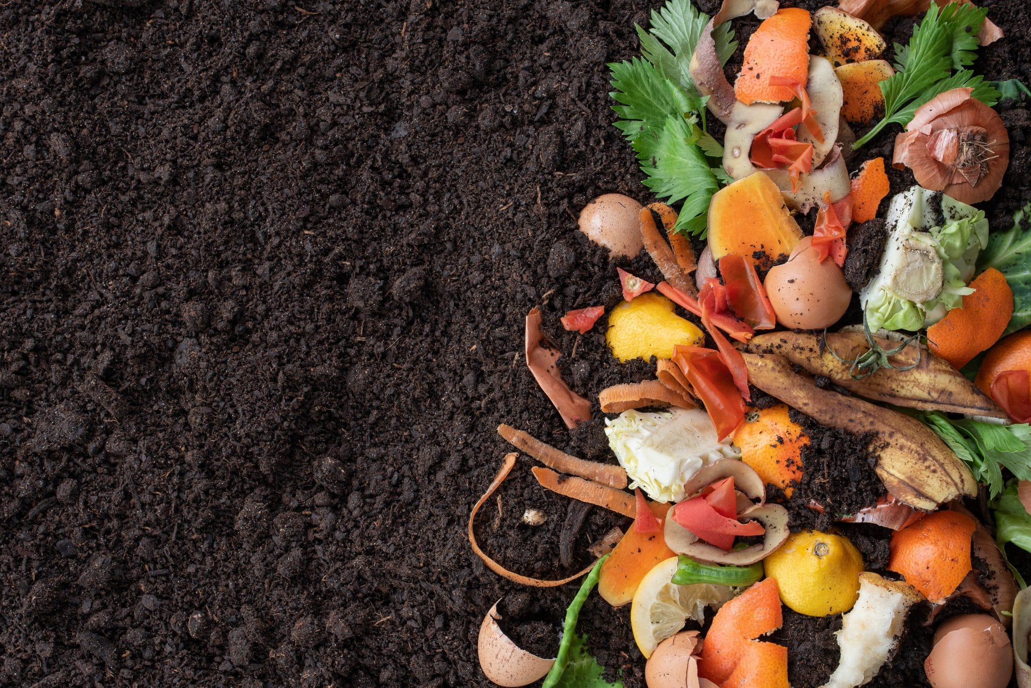 biodechets-agriculture-terra-innova biodechets-agriculture-terra-innova