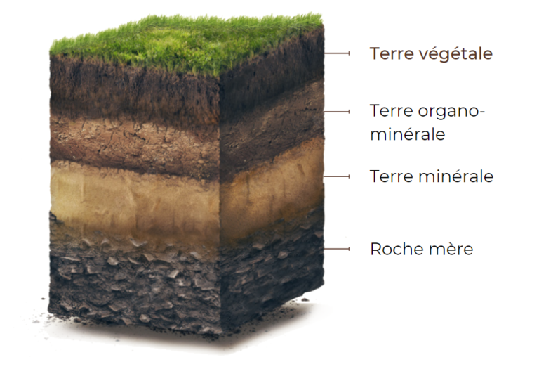 Terre végétale Terra Innova